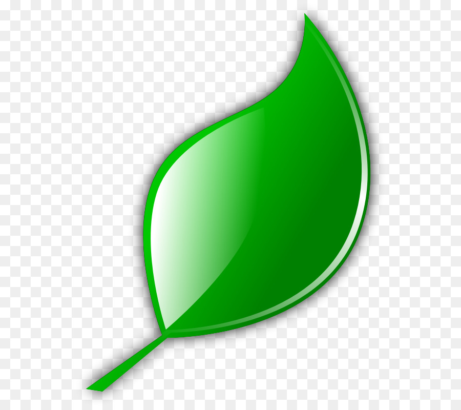 Leaf,Green,Plant,Logo,Graphics,Clip art