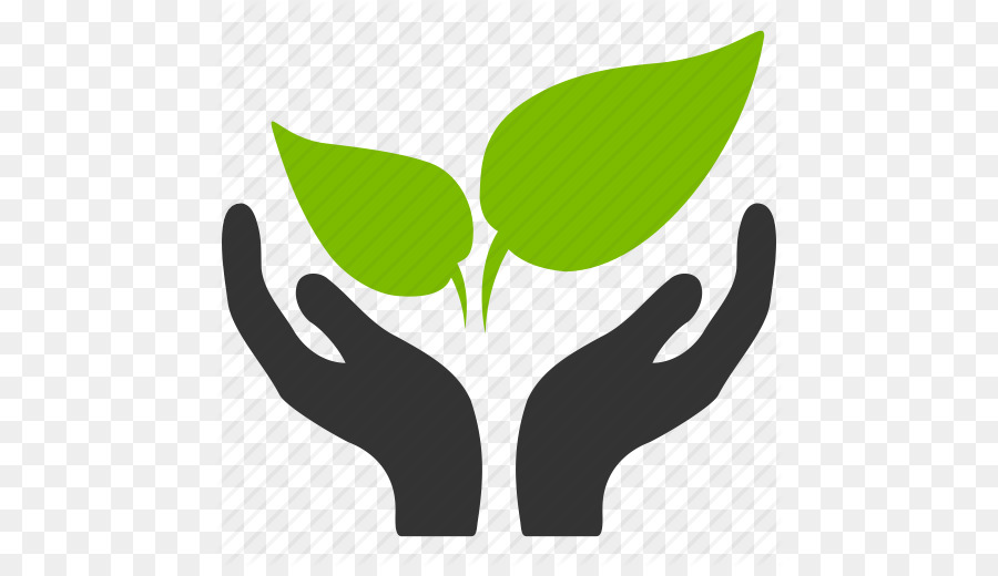 Leaf,Green,Logo,Botany,Plant,Tree,Illustration,Hand,Graphics,Gesture,Flower