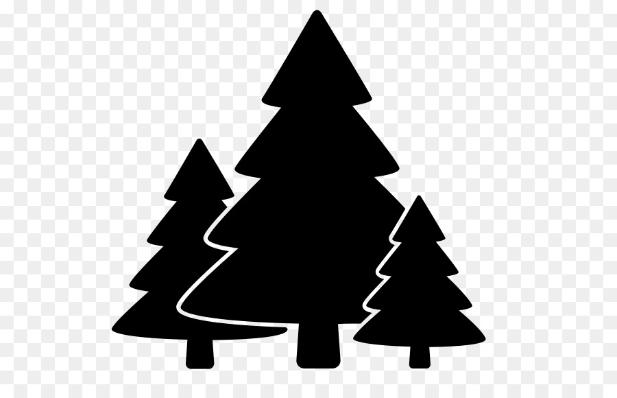 Tree,Christmas tree,oregon pine,Colorado spruce,White pine,Christmas decoration,Woody plant,Pine,Conifer,Pine family,Fir,Evergreen,Black-and-white,Interior design,Plant,Spruce