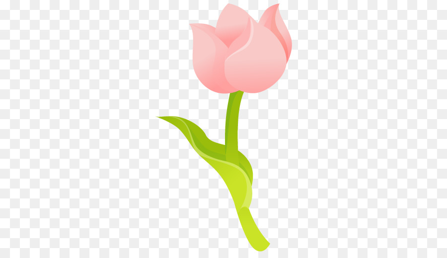 Tulip,Flower,Petal,Pedicel,Plant,Botany,Pink,Flowering plant,Plant stem,Bud,Illustration,Clip art,Lily family,Graphics