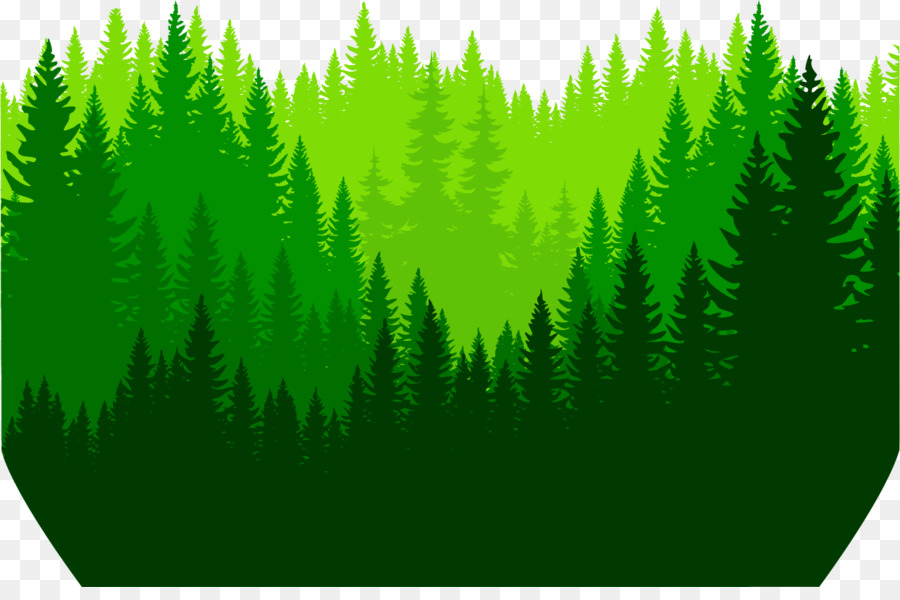 Green,Nature,Vegetation,Tree,Plant,Biome,Leaf,Terrestrial plant,Evergreen,Vascular plant,Forest,shortleaf black spruce,Grass,Tropical and subtropical coniferous forests,Fern,Pine family,Conifer,American larch,Pine