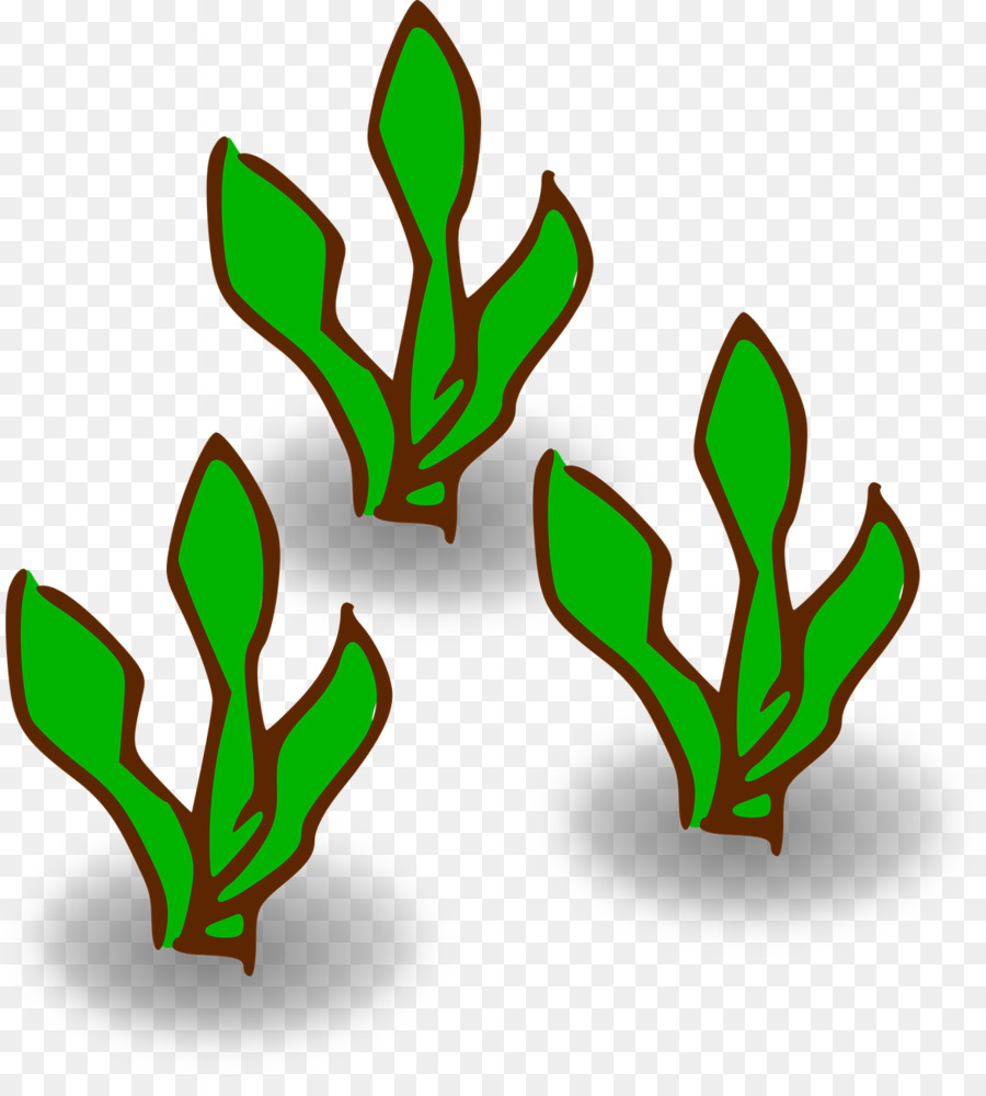 plant-stem # 156524