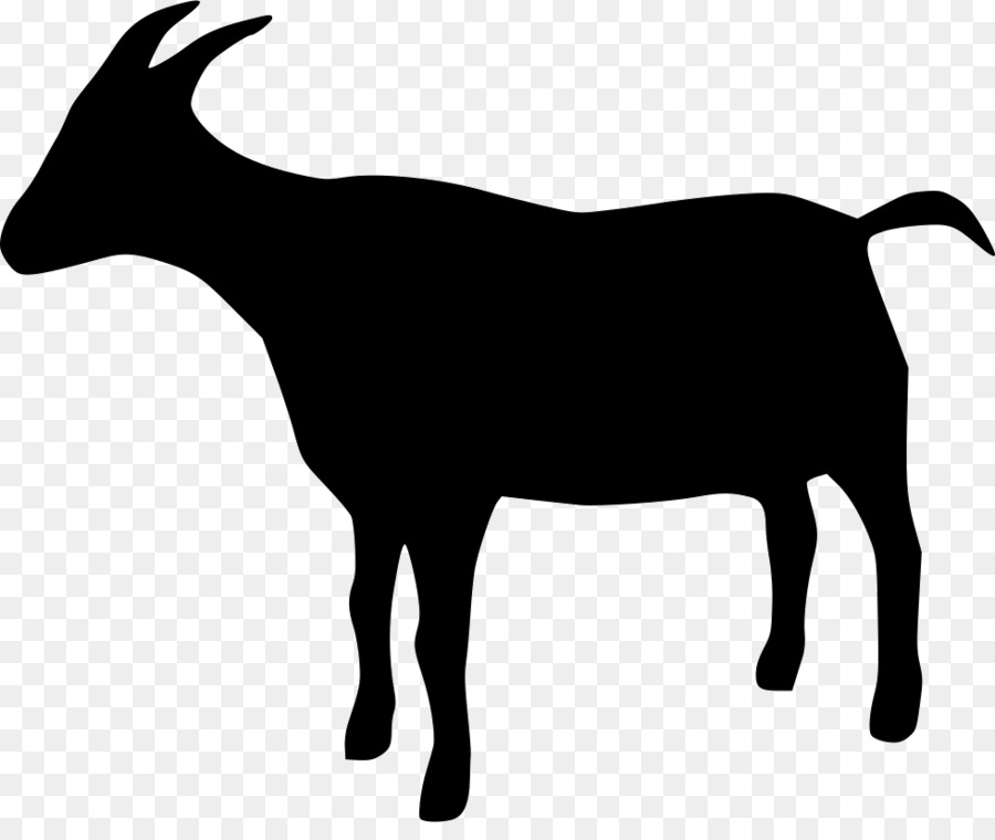 goat # 156560