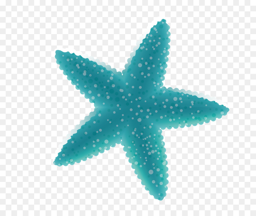 starfish # 254933