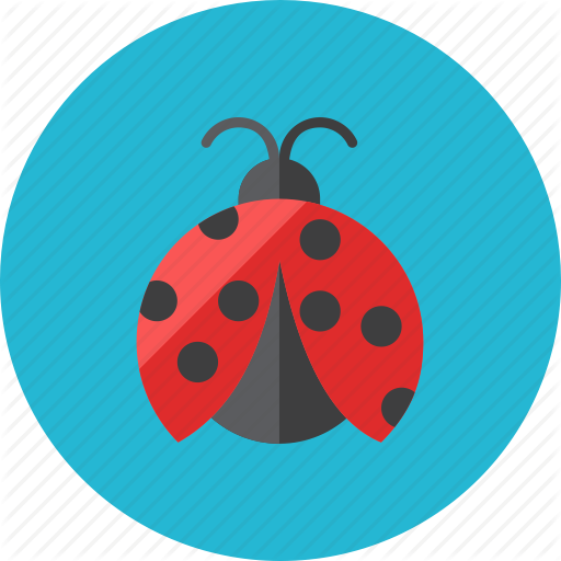 Circle,Illustration,Clip art,Insect