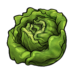Food, lettuce, vegetable icon | Icon search engine