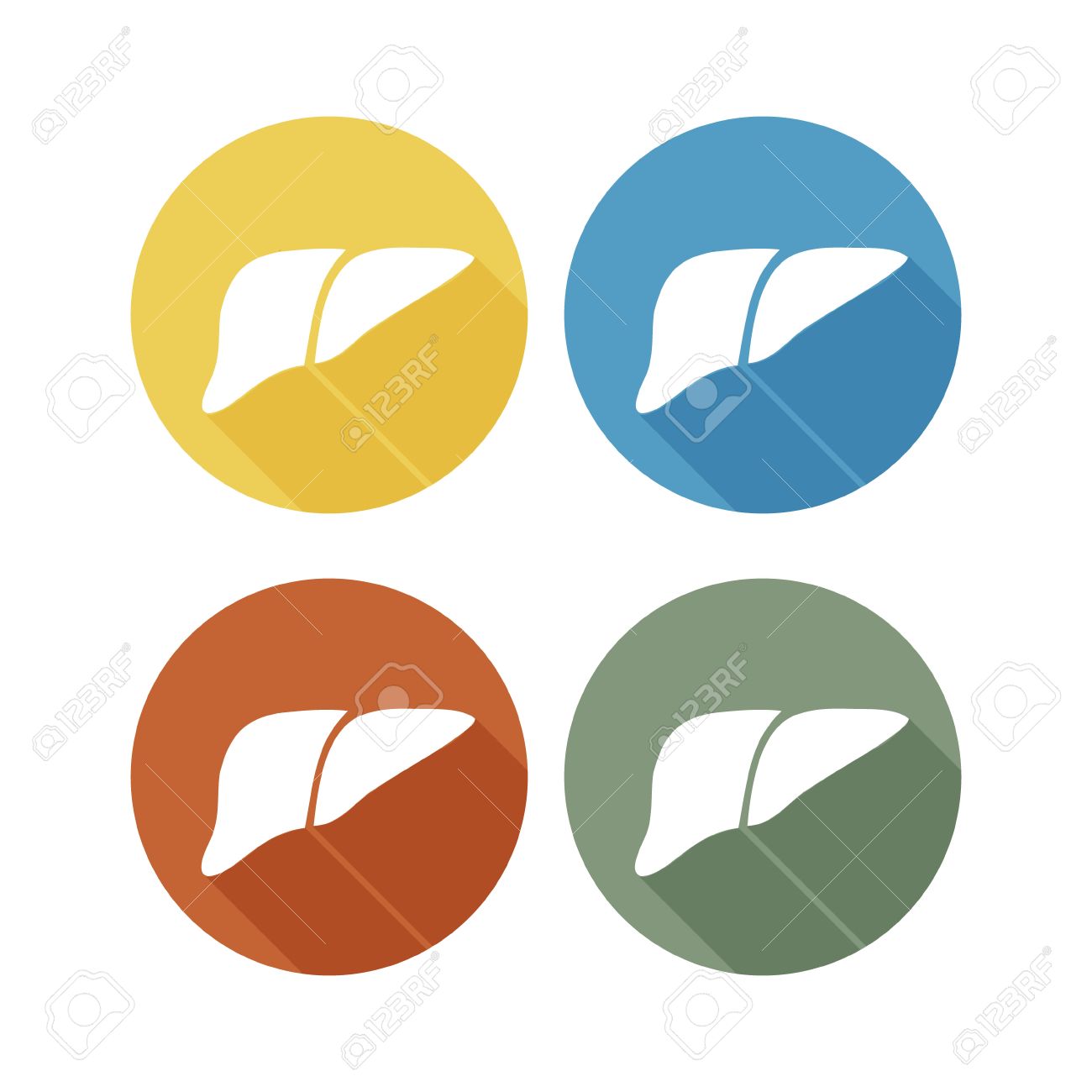 Human liver icon in trendy thin line style Vector Image