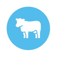 Beef, bull, butcher, cattle, cow, dairy, livestock icon | Icon 