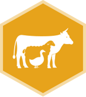 Image result for livestock icons | Icon Sets 2304 | Icon Library 