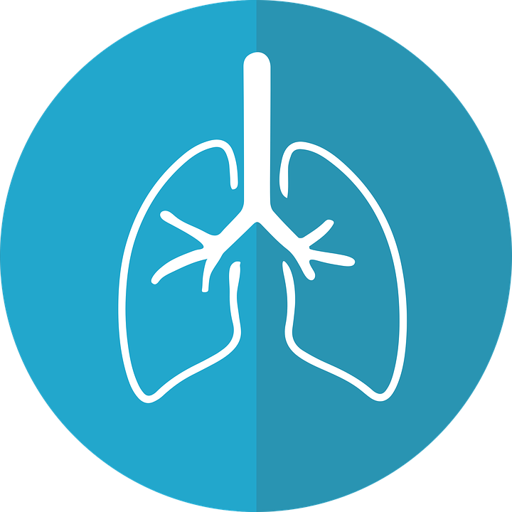 Lungs Icon - free download, PNG and vector