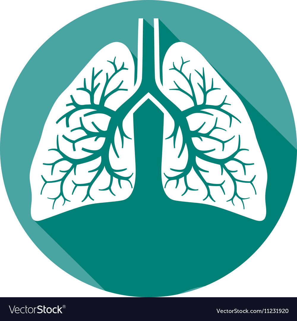 Lungs icons | Noun Project