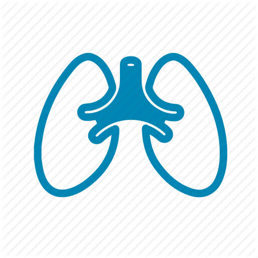 Aqua,Turquoise,Azure,Logo,Line,Font,Electric blue,Graphics,Symbol