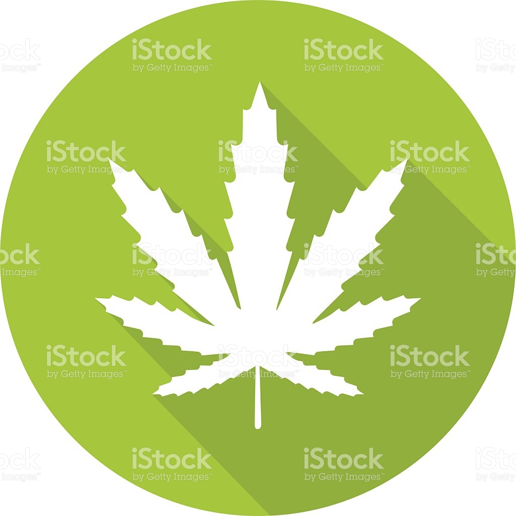 Marijuana leaf icon, cartoon style. Marijuana leaf icon in 