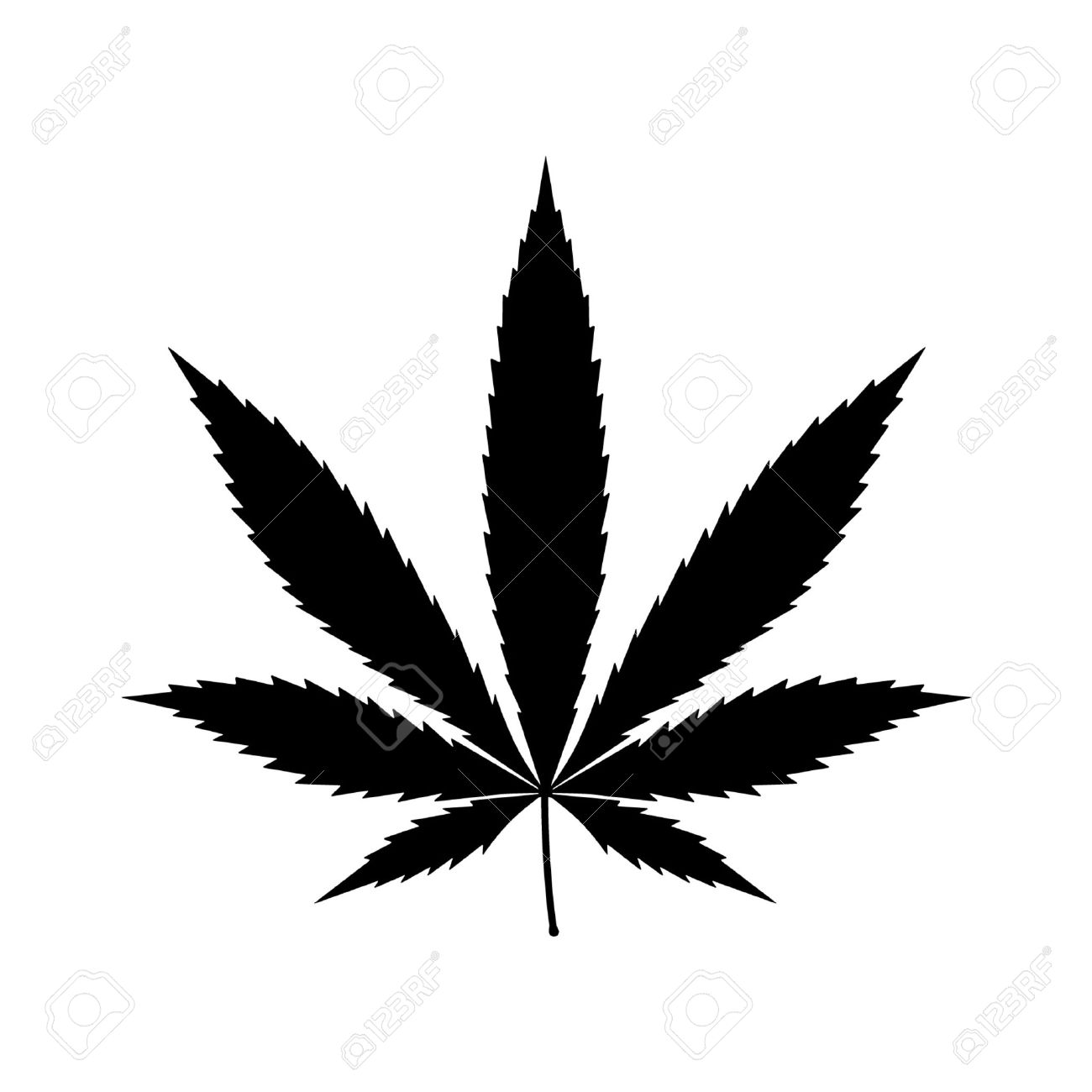 Cannabis leaf icon stock vector. Illustration of spray - 36019834