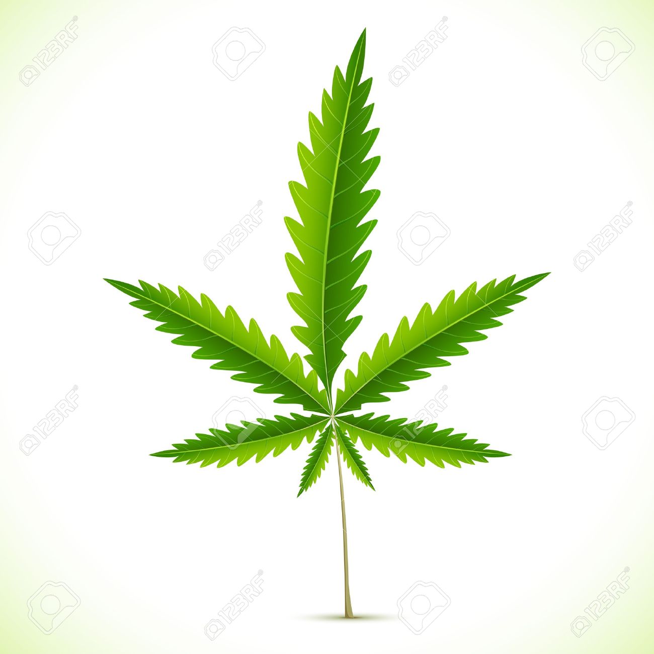 Cannabis Leaf Icon ~ Objects ~ Creative Market