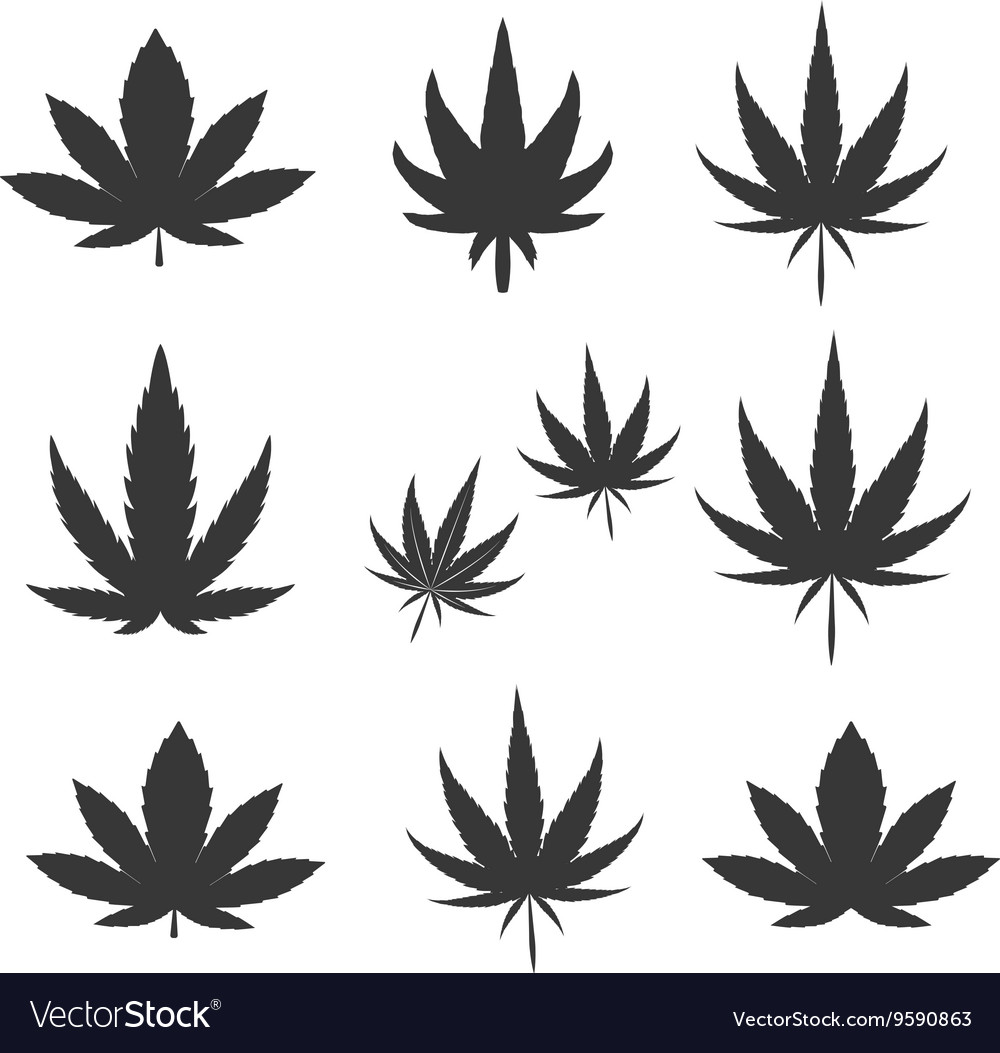 Marijuana leaf icon Vector | Free Download