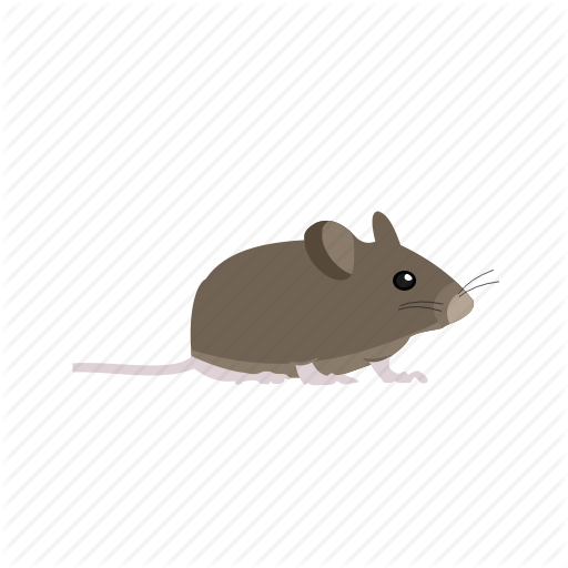 Mice Icon Mouse Vector Stock Vector 439429273 - 