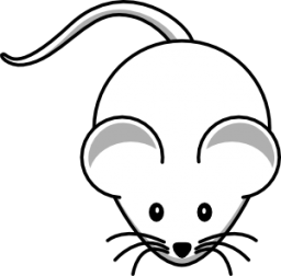 icon-mice  Perth Pest Control