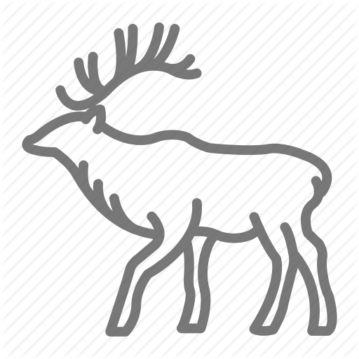 Deer,Elk,Branch,Reindeer,Tree,Coloring book,Wildlife,Black-and-white,Antler,Line art,Tail,Illustration