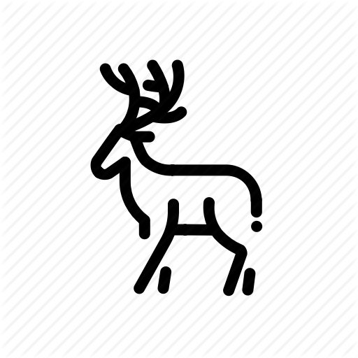 reindeer # 164151