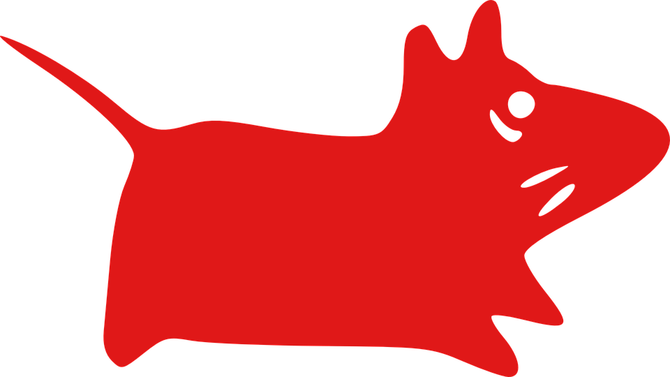 Red,Clip art,Graphics,Tail