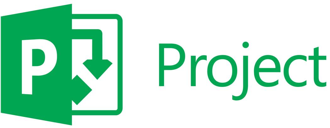 what is microsoft project professional 2013