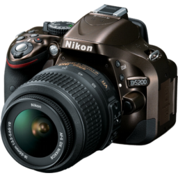 Camera, nikon, photography icon | Icon search engine