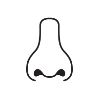 Nose icons | Noun Project