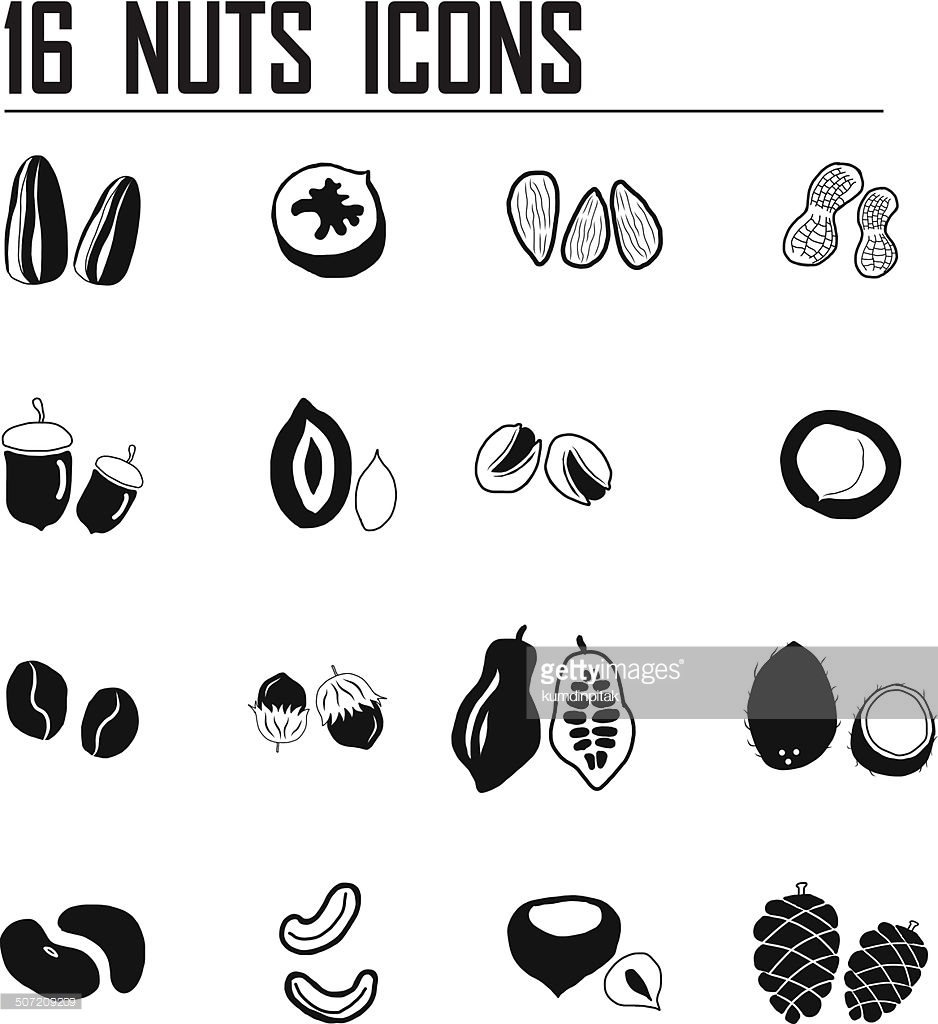 Nuts icons | Noun Project
