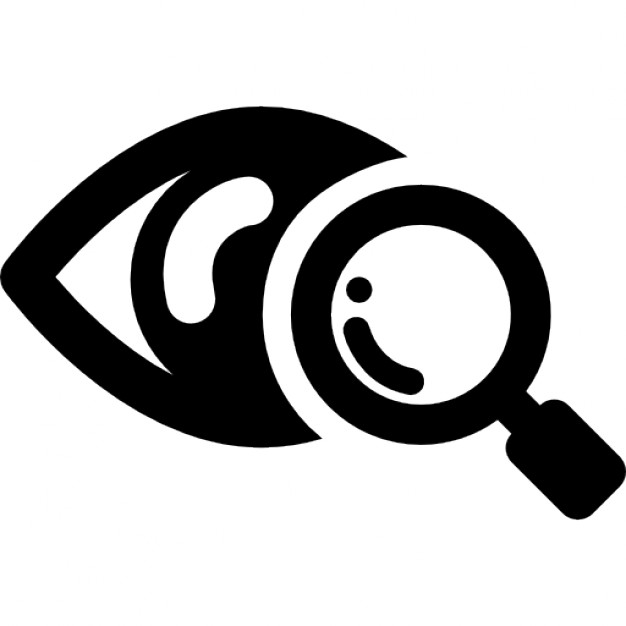 search, zoom, Observe icon