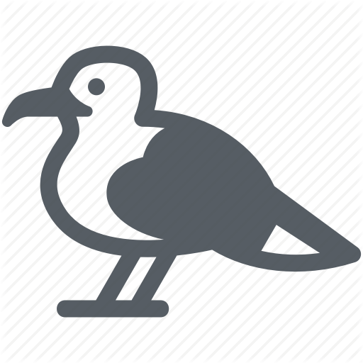 Bird,Dodo,Beak,Flightless bird,Seabird,Water bird,Illustration