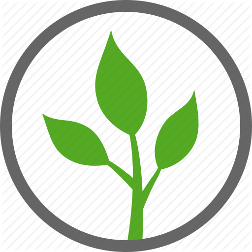 Leaf,Plant,Botany,Flower,Logo,Illustration