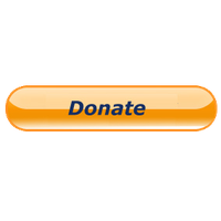 Paypal Donate Button PNG Transparent Paypal Donate Button.PNG 