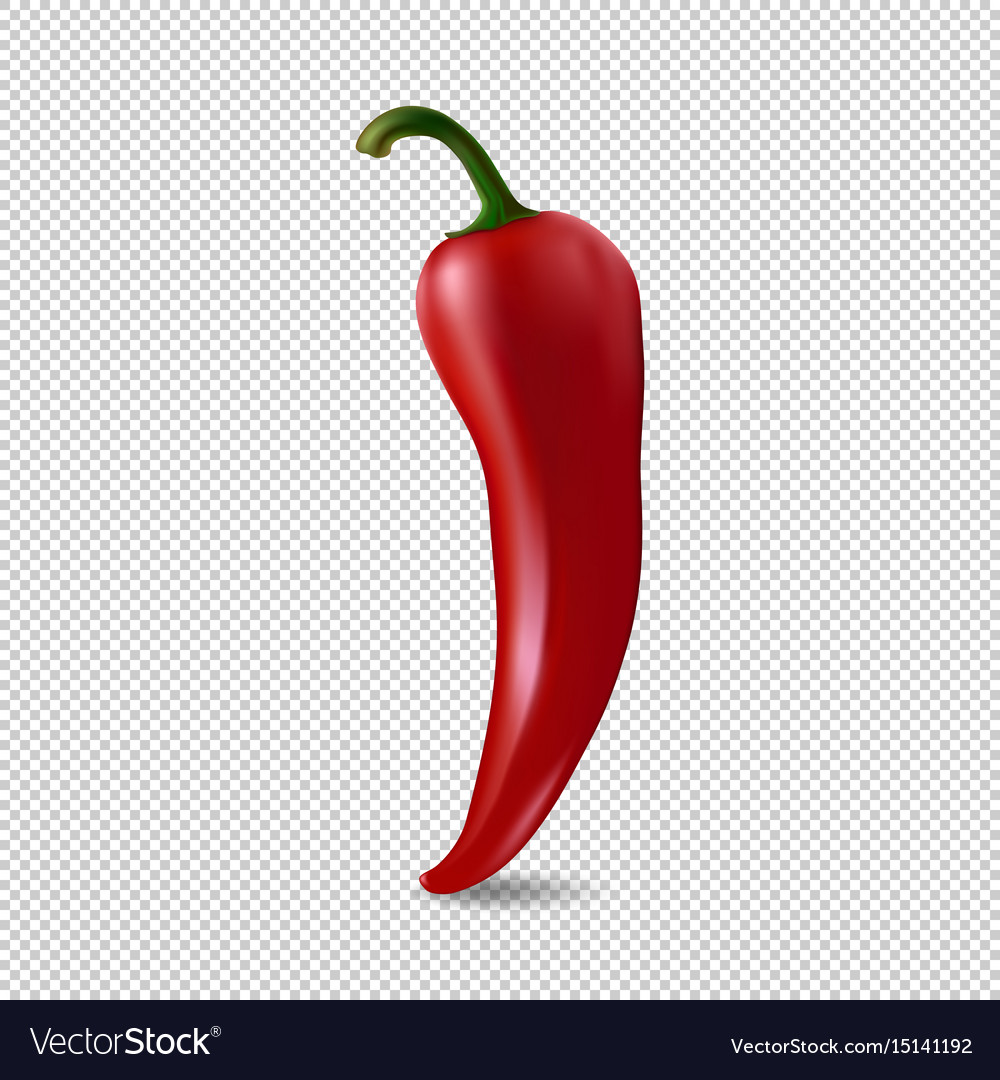 Bell pepper, food, pepper, vegetable icon | Icon search engine