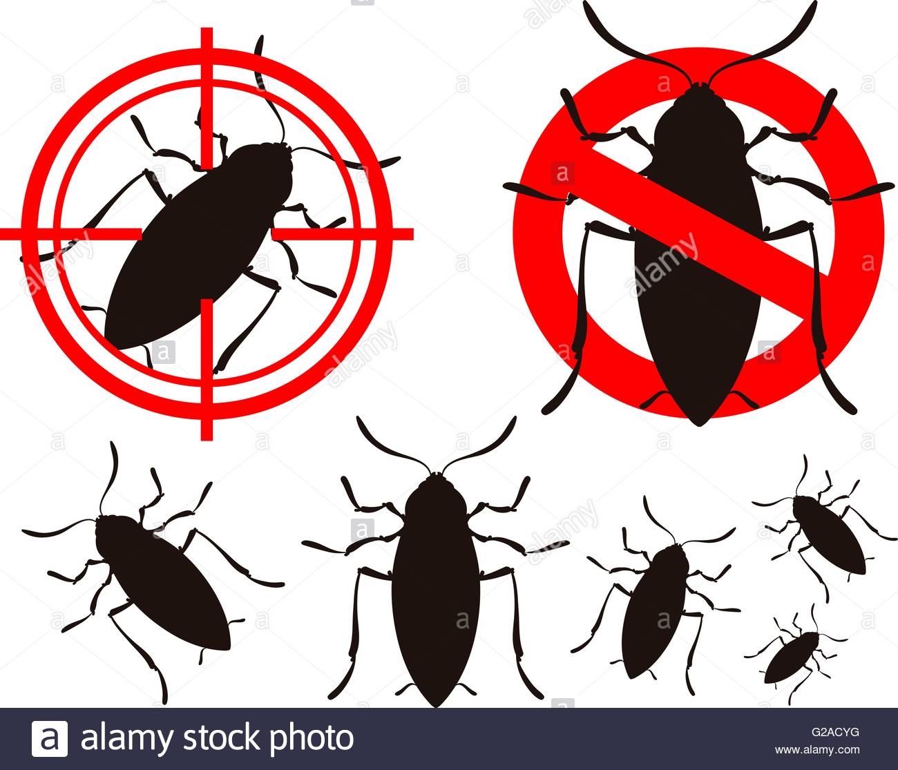 Blattaria, carrier, cockroach, contagion, dirty, insect, pest icon 
