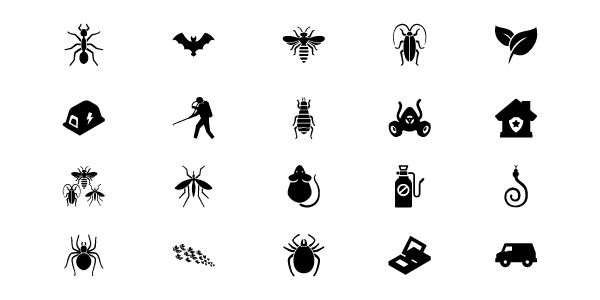 Barata, bug, cafard, cockroach, cucaracha, insect, pest icon 