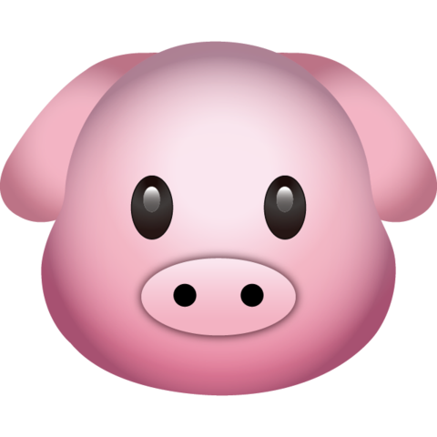 Pig icons | Noun Project