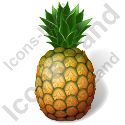 Bromeliaceae, food, fruit, hawaiian, pineapple, tropical icon 