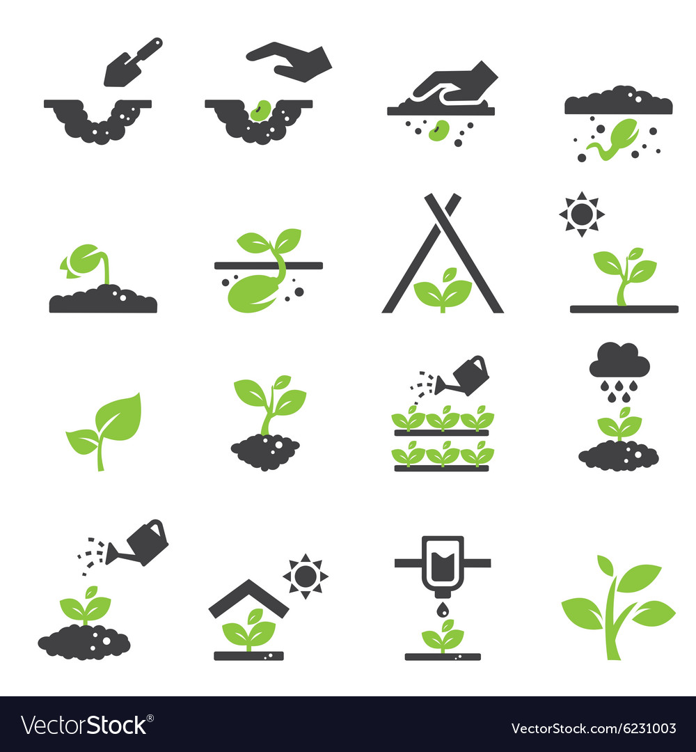 Grow Up Plant Icon Vector - Download Free Vector Art, Stock 