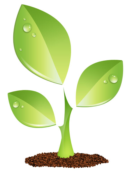 Earth, eco, ecology, flower, garden, leaf, leaves, plant icon 