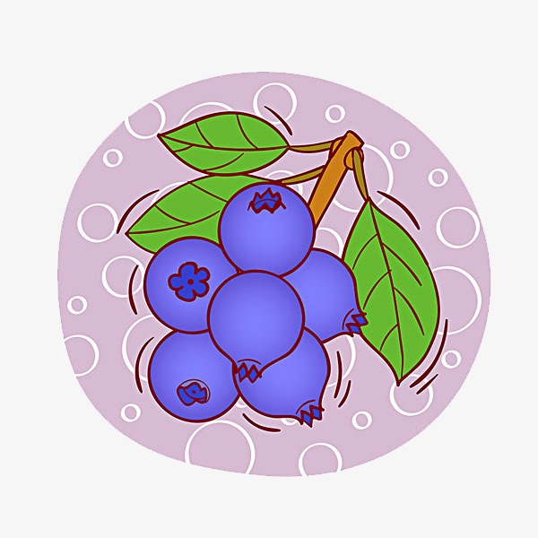 blueberry # 89372