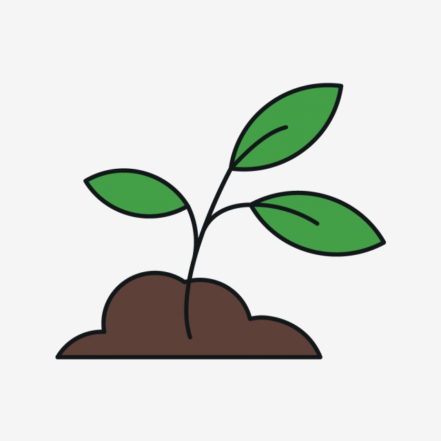 Leaf,Green,Plant,Tree,Botany,Flower,Houseplant,Plant stem,Clip art,Flowerpot,Soil