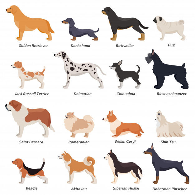 ancient-dog-breeds # 171314