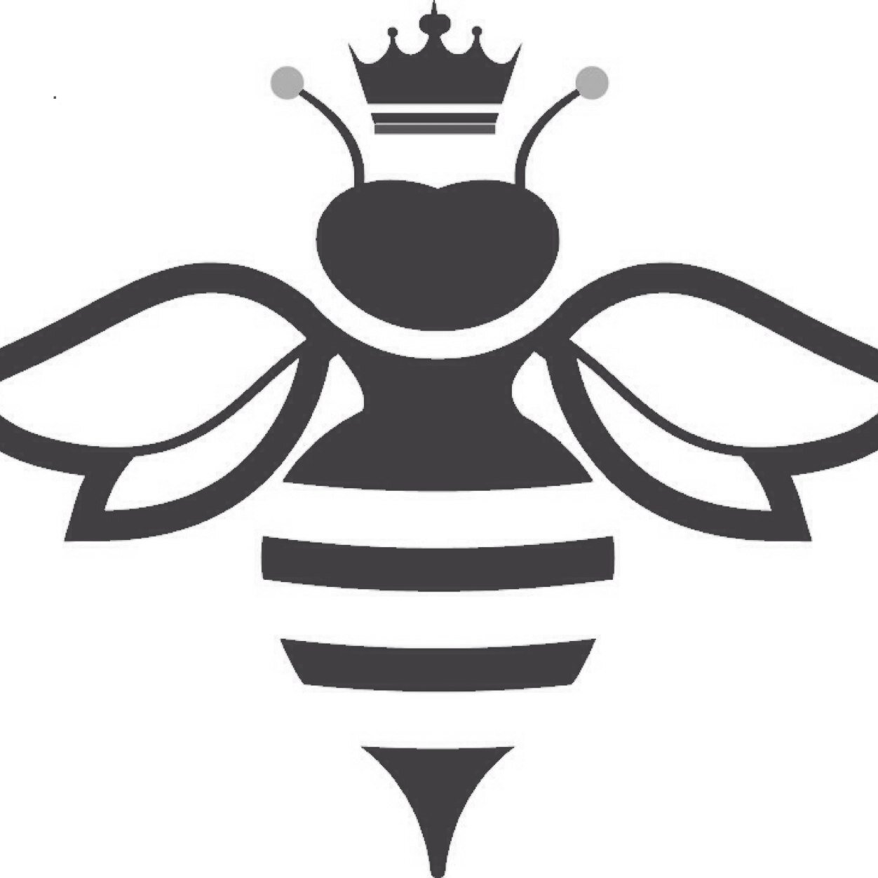 Bee, flying insect, honey bee, insect, queen bee icon | Icon 