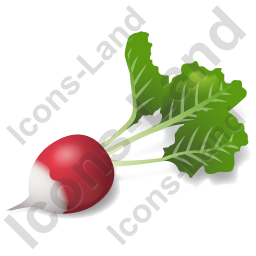 Radish Icon - Agriculture  Farming Icons in SVG and PNG - Icon Library