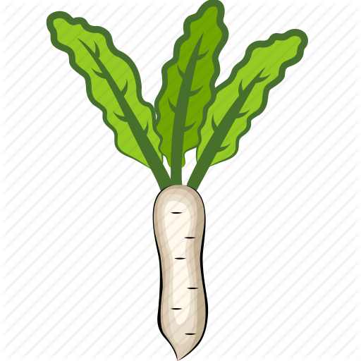 root-vegetable # 172071