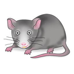 Rat icons | Noun Project