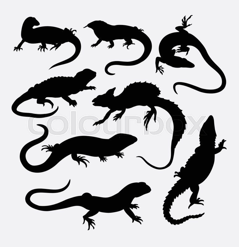 Reptile Icon Set Vector Art | Getty Images
