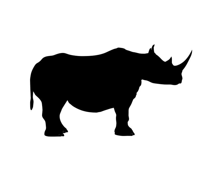Rhinoceros,Vertebrate,Mammal,Black rhinoceros,White rhinoceros,Terrestrial animal,Horn,Animal figure,Wildlife,Snout,Clip art,Graphics,Silhouette,Indian rhinoceros