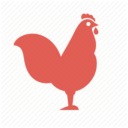 Chicken,Rooster,Bird,Comb,Galliformes,Fowl,Poultry,Livestock,Illustration,Beak,Wing,Clip art,Graphics